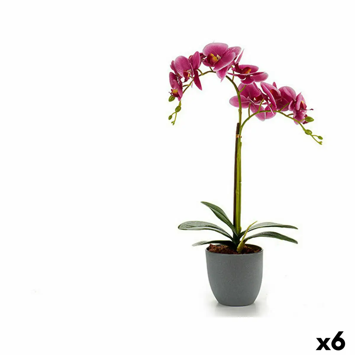 Plante decorative orchidee plastique 20 x 47 5 x 24 cm 6 unites _7130. DIAYTAR SENEGAL - Où Votre Shopping Prend Vie. Explorez notre boutique en ligne pour trouver des articles qui vous ressemblent et qui ajoutent de l'éclat à votre quotidien.