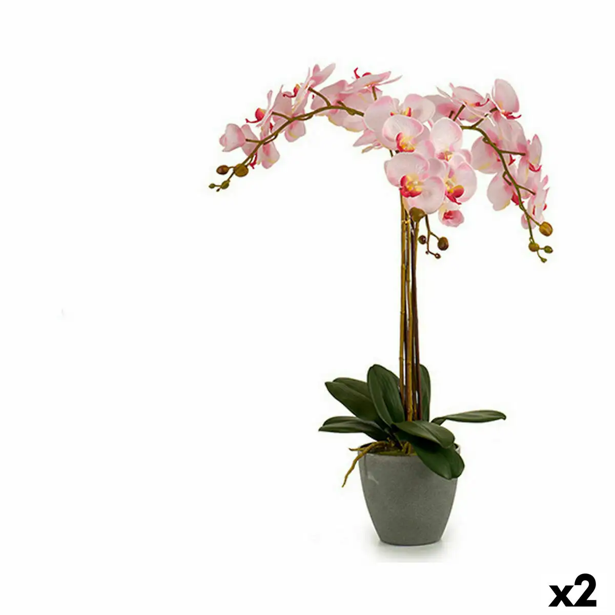 Plante decorative orchidee plastique 29 x 78 x 35 cm 2 unites _7387. DIAYTAR SENEGAL - Votre Compagnon Shopping, Votre Style Unique. Explorez notre boutique en ligne pour dénicher des trésors qui expriment qui vous êtes, de la mode à la maison.
