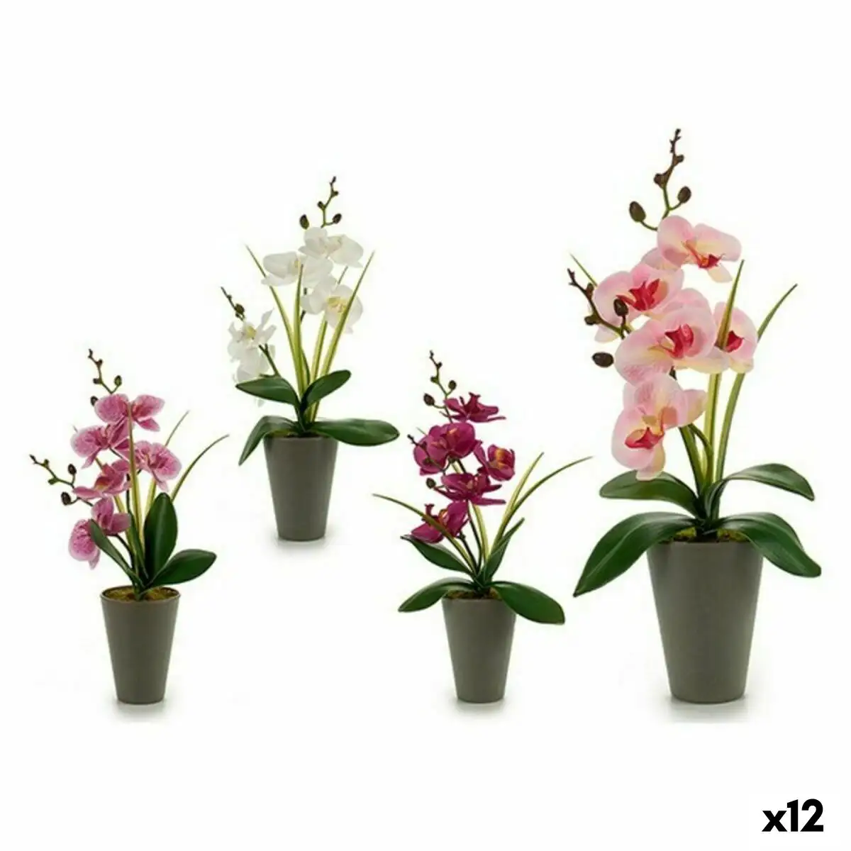 Plante decorative orchidee plastique 8 x 35 x 14 cm 12 unites _6487. DIAYTAR SENEGAL - L'Art du Shopping Sublime. Naviguez à travers notre catalogue et choisissez parmi des produits qui ajoutent une touche raffinée à votre vie quotidienne.