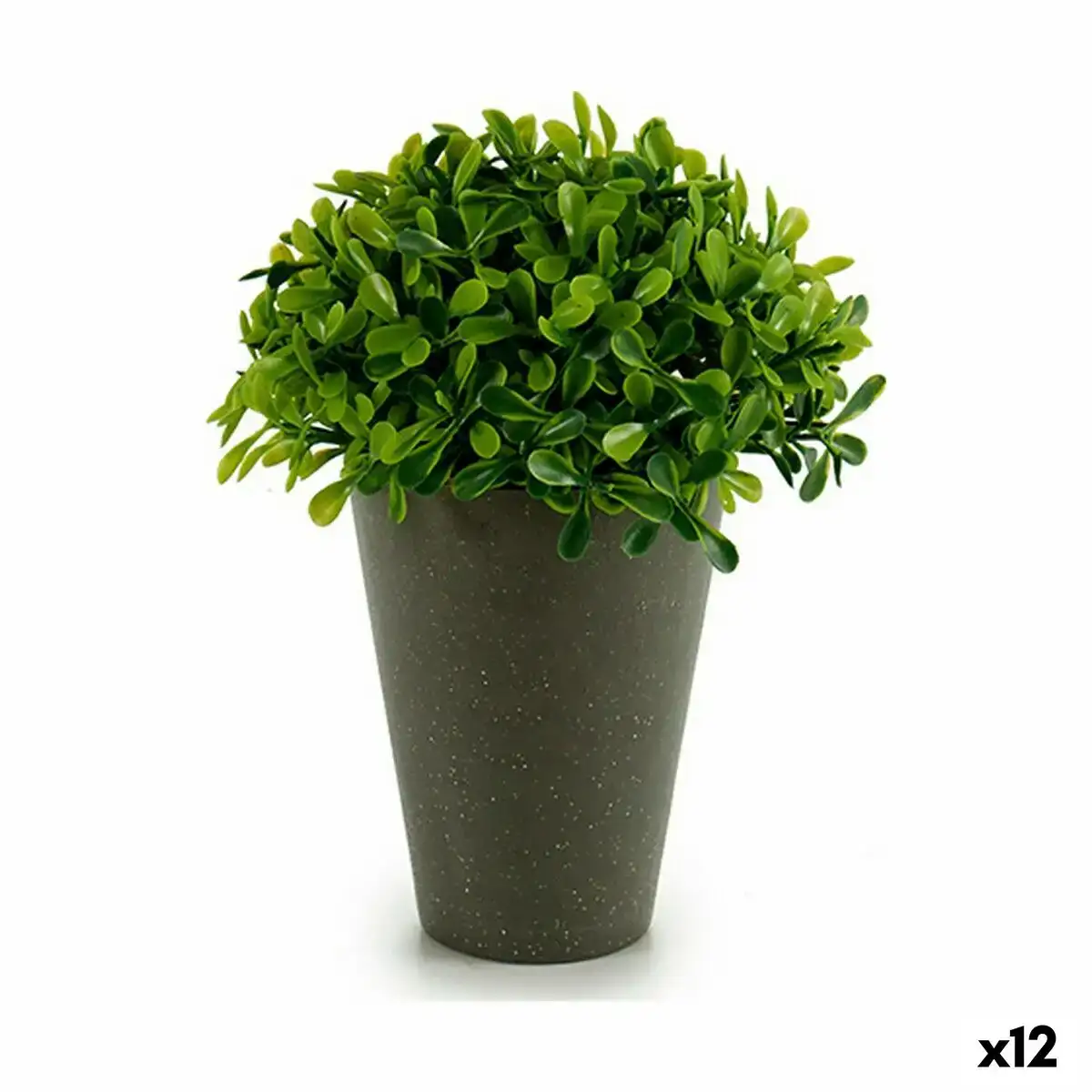 Plante decorative plastique 13 x 16 x 13 cm vert gris 12 unites _3517. DIAYTAR SENEGAL - L'Art de Vivre l'Élégance Accessible. Parcourez notre gamme variée et choisissez des produits qui ajoutent une touche de sophistication à votre style.