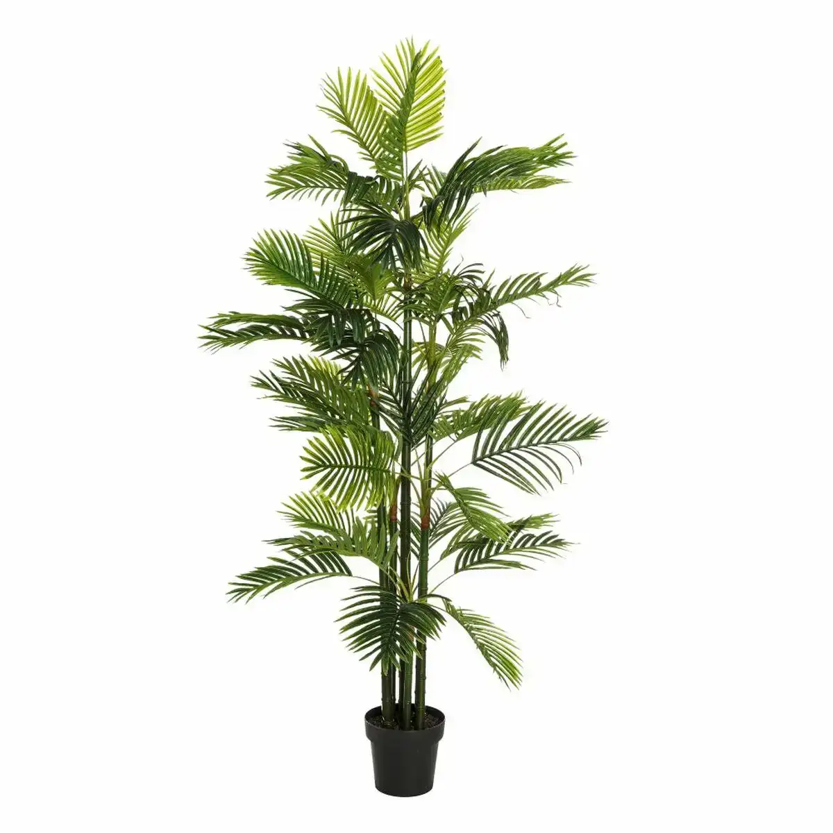 Plante decorative vert pvc 170 cm palmier_4482. Découvrez DIAYTAR SENEGAL - Là où Votre Shopping Prend Vie. Plongez dans notre vaste sélection et trouvez des produits qui ajoutent une touche spéciale à votre quotidien.