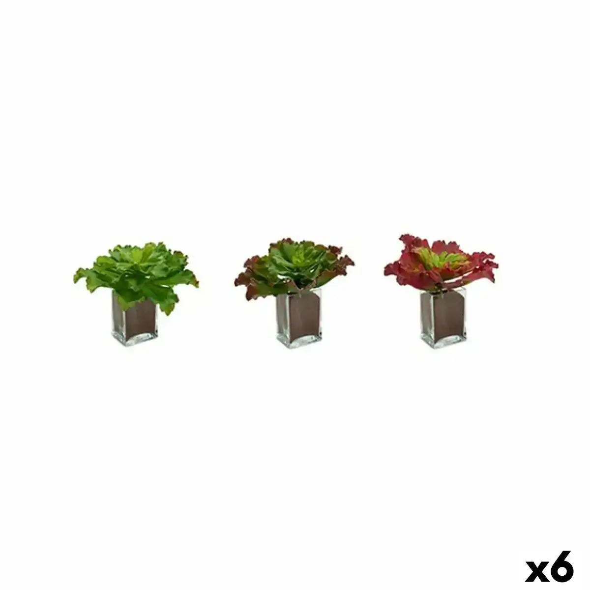Plante decorative volets grand bicolore plastique 31 x 24 x 31 cm 6 unites _4519. Entrez dans l'Univers de DIAYTAR SENEGAL - Où Choisir est un Voyage. Explorez notre gamme diversifiée et trouvez des articles qui répondent à tous vos besoins et envies.