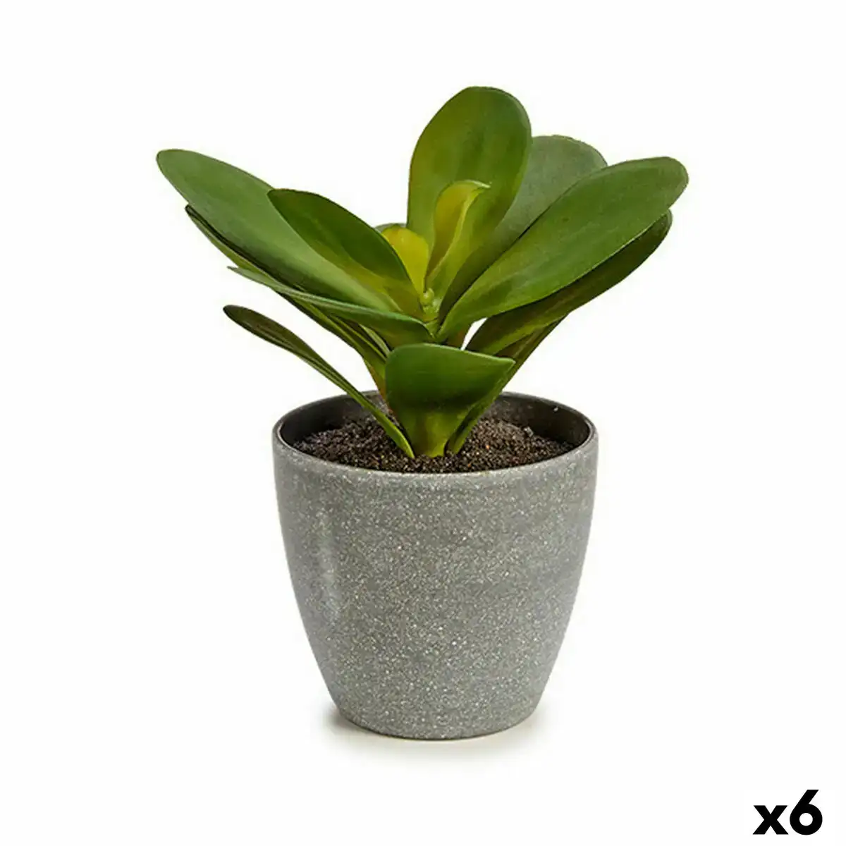 Plante decorative volets ronde plastique 11 x 15 x 11 cm 6 unites _9896. Bienvenue chez DIAYTAR SENEGAL - Où Choisir est un Voyage. Plongez dans notre plateforme en ligne pour trouver des produits qui ajoutent de la couleur et de la texture à votre quotidien.