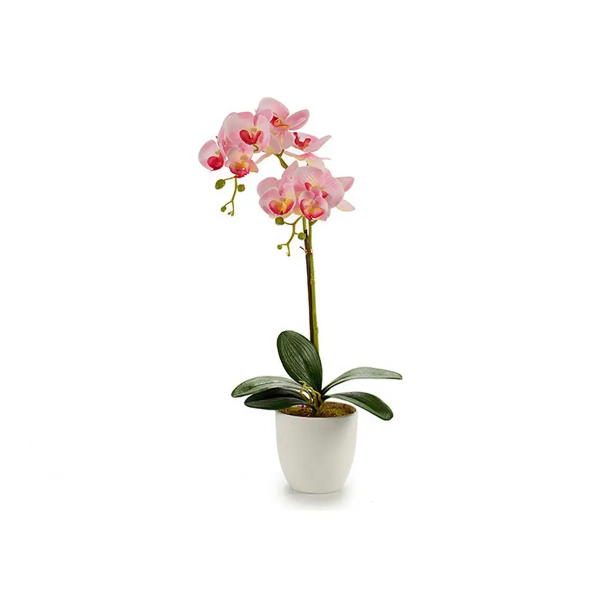 Pot orchid violet rose lila blanc plastique 51 cm _7862. Bienvenue chez DIAYTAR SENEGAL - Où Chaque Achat est un Geste d'Amour. Découvrez notre sélection minutieuse et choisissez des articles qui témoignent de votre passion.