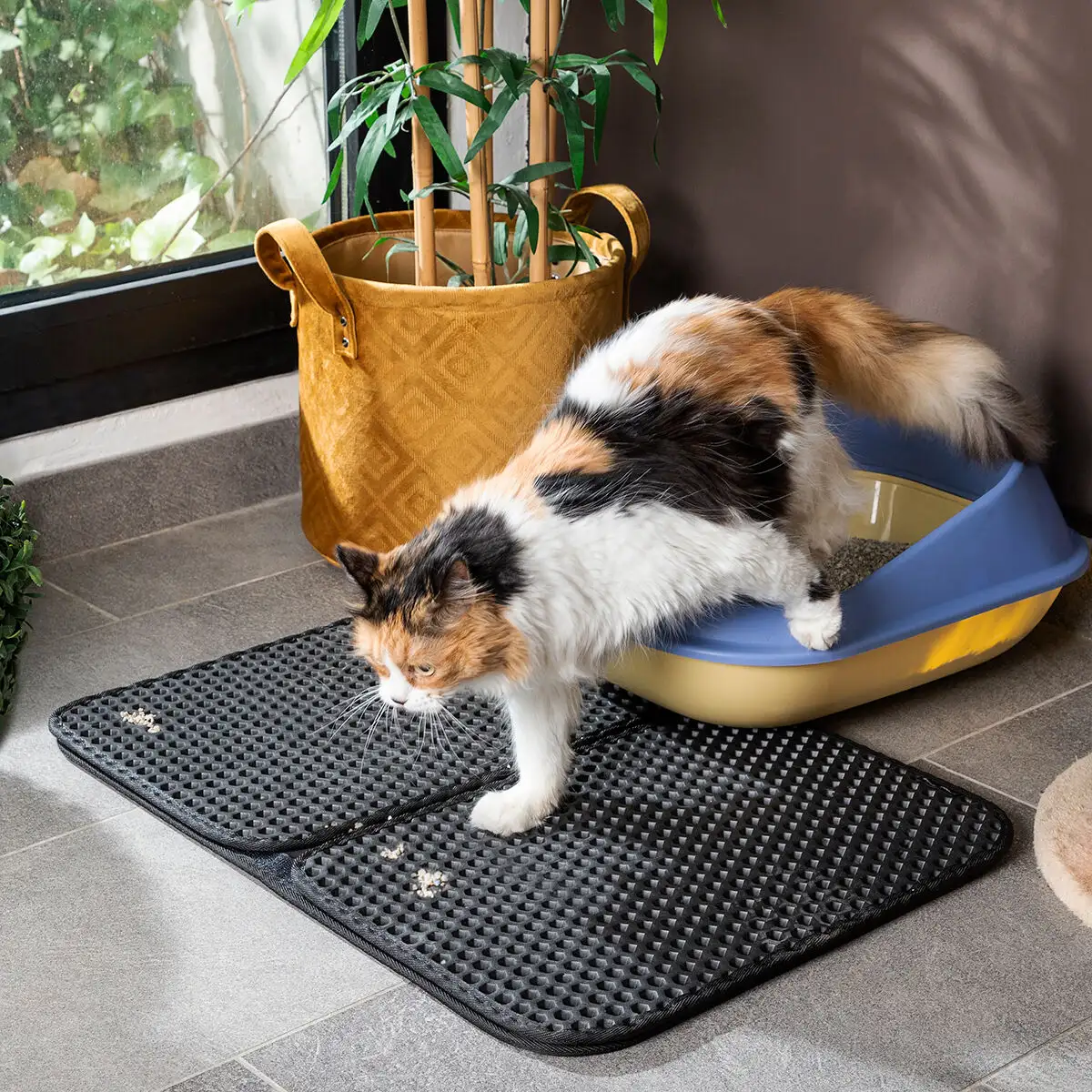 Tapis de litiere pour chat clikatt innovagoods_1958. DIAYTAR SENEGAL - Là où Chaque Produit a son Histoire. Découvrez notre gamme de produits, chacun portant en lui le récit de l'artisanat et de la passion, pour vous offrir une expérience de shopping authentique.