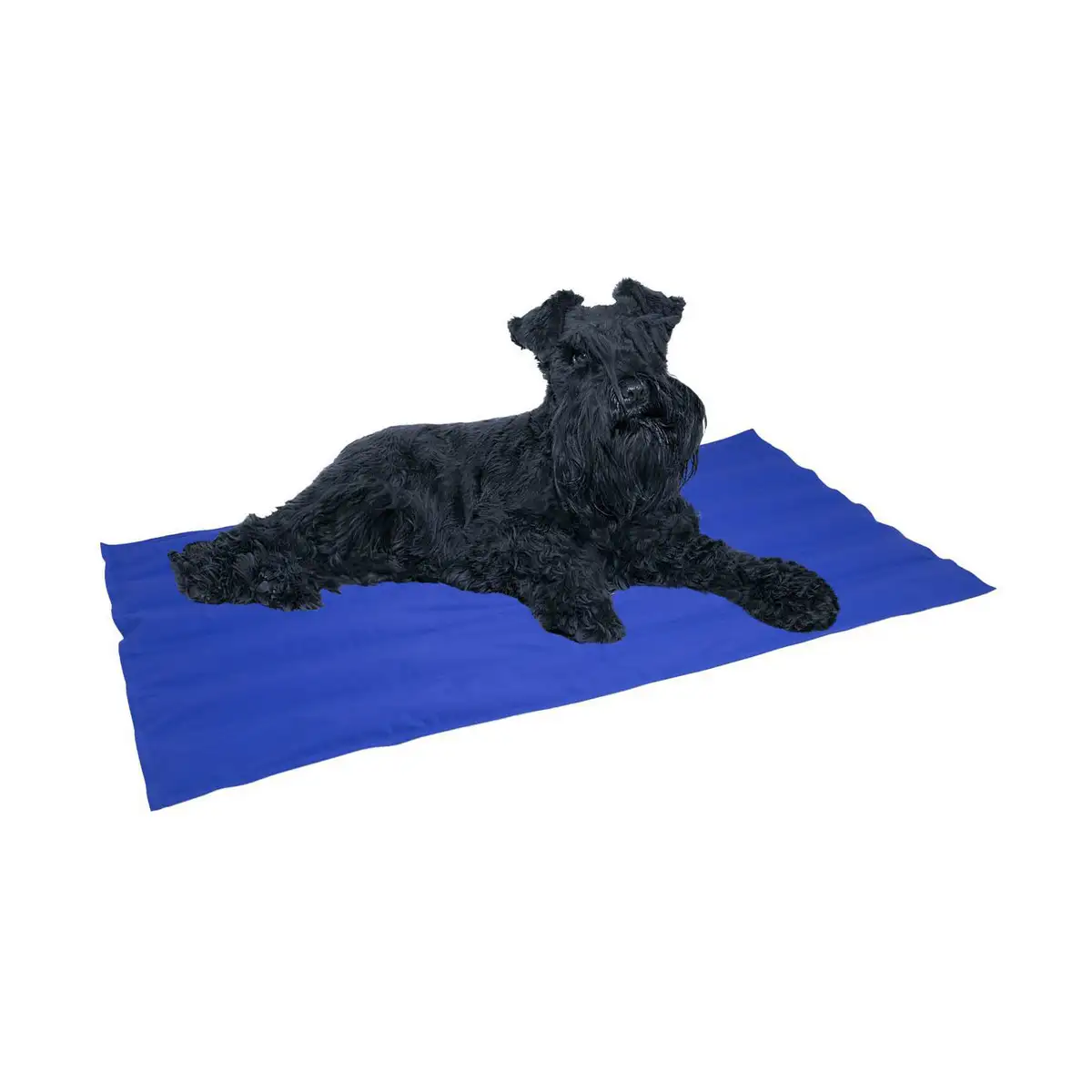 Tapis pour chien nayeco cool mat bleu gel refrigerant 50 x 40 cm _3258. DIAYTAR SENEGAL - Où Choisir Rime avec Qualité. Découvrez notre sélection soigneusement conçue et choisissez des articles qui incarnent l'excellence et l'innovation.