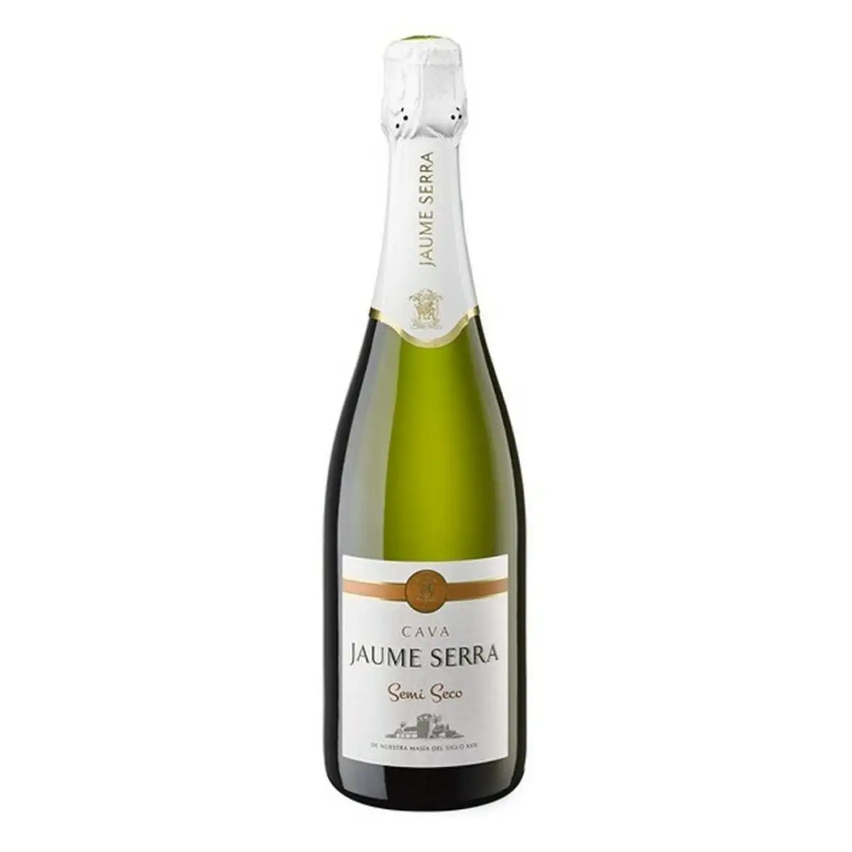 Vin mousseux jaume serra 75 cl _5550. DIAYTAR SENEGAL - L'Art de Vivre le Shopping Inspiré. Parcourez notre catalogue et choisissez des produits qui reflètent votre passion pour la beauté et l'authenticité.