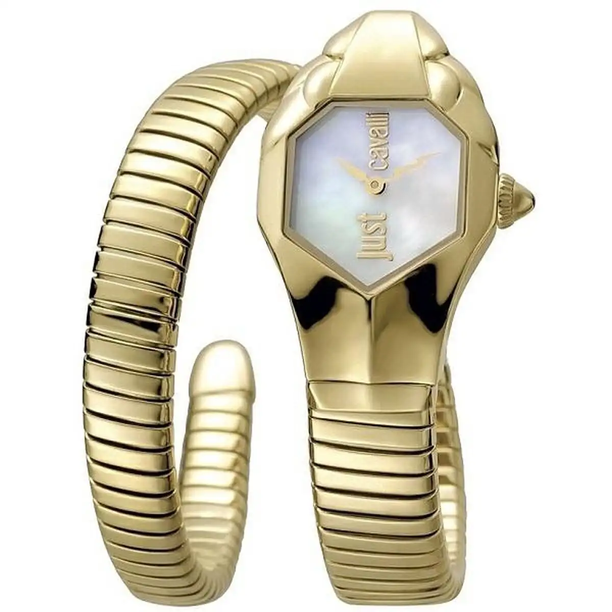 Montre femme just cavalli glam chic snake ø 22 mm_8272. Découvrez DIAYTAR SENEGAL - Où l'Élégance Rencontre la Variété. Parcourez notre collection et trouvez des trésors cachés qui ajoutent une touche de sophistication à votre vie quotidienne.