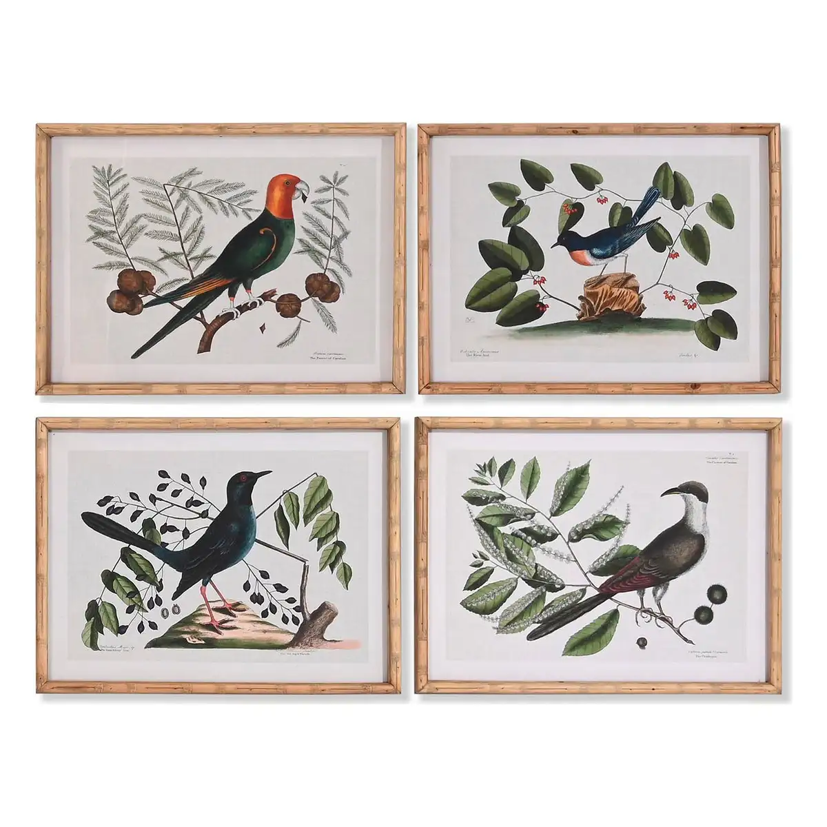 Peinture dkd home decor crystal birds 65 x 16 5 x 50 2 cm 4 pie ces_8371. DIAYTAR SENEGAL - L'Art de Choisir, l'Art de Vivre. Explorez notre univers de produits soigneusement sélectionnés pour vous offrir une expérience shopping riche et gratifiante.