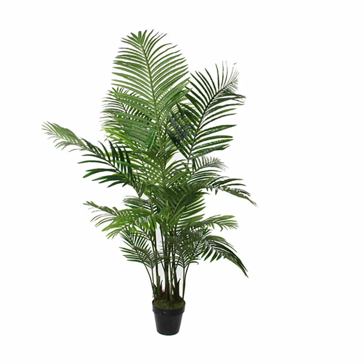 Plante de corative mica de corations palmier vert 80 x 160 cm_6153. DIAYTAR SENEGAL - Votre Oasis de Shopping en Ligne. Explorez notre boutique et découvrez des produits qui ajoutent une touche de magie à votre quotidien.