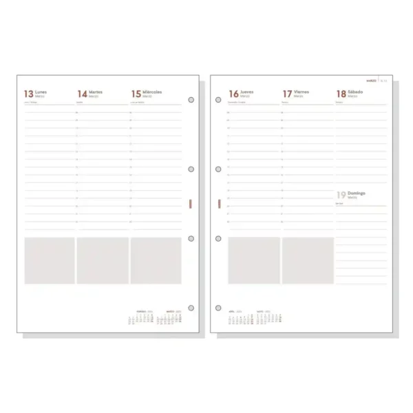 Agenda Finocam OPEN R4099 Remplacement 2023 (21 x 29,7 cm). SUPERDISCOUNT FRANCE