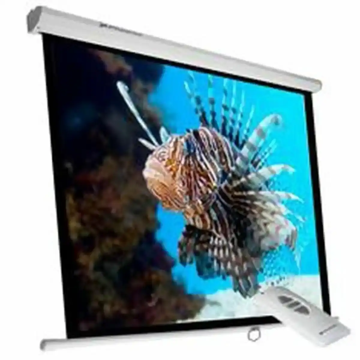 Écran de projection Phoenix ELEC240 135". SUPERDISCOUNT FRANCE