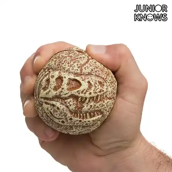 Junior knows fossil ball_3046. Bienvenue sur DIAYTAR SENEGAL - Où Chaque Produit a son Histoire. Découvrez notre sélection unique et choisissez des articles qui racontent la richesse culturelle et artistique du Sénégal.