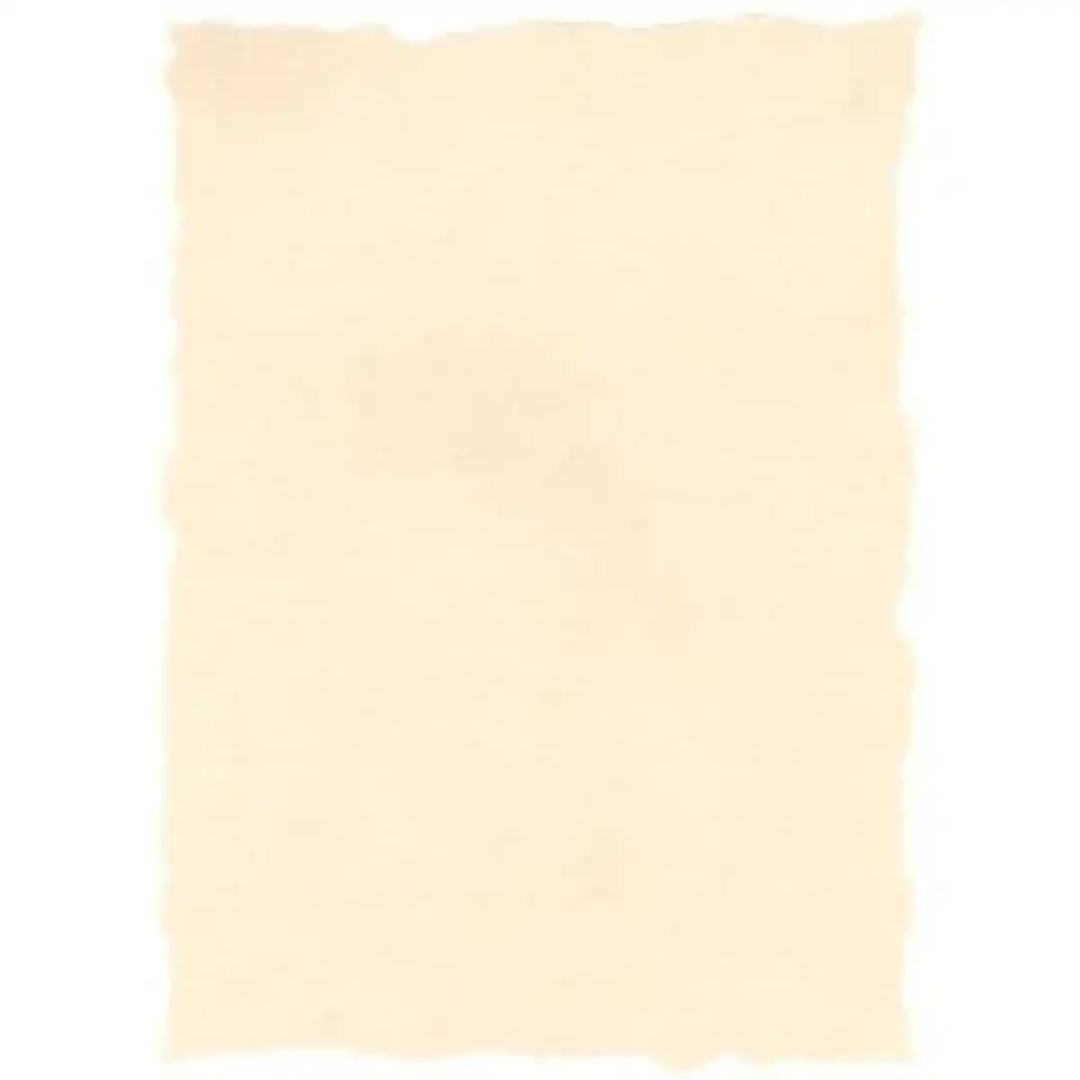 Papier parchemin Michel A4 25 Unités. SUPERDISCOUNT FRANCE