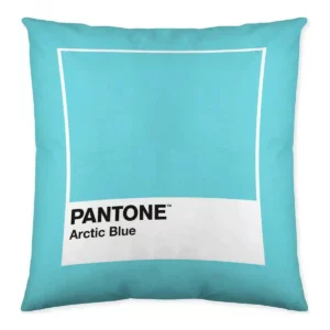 Housse de coussin fun deck a localisation pantone b086jq9xyg reversible 50 x_3123. DIAYTAR SENEGAL - Là où Choisir est un Acte d'Amour pour le Sénégal. Explorez notre gamme et choisissez des produits qui célèbrent la culture et l'artisanat du pays.