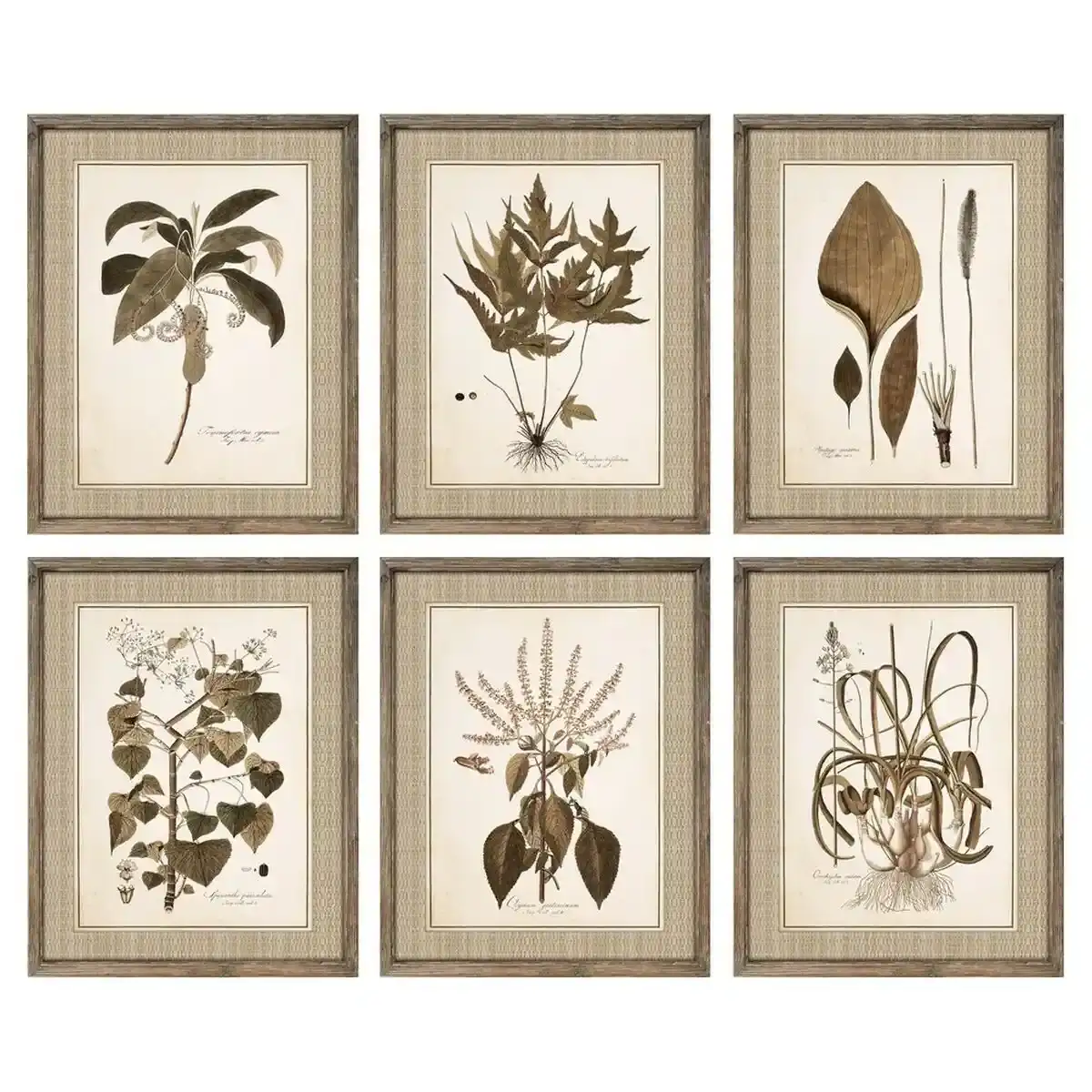 Peinture dkd home decor 55 x 2 5 x 70 cm plantes_2289. DIAYTAR SENEGAL - Votre Destination pour un Shopping Inoubliable. Naviguez à travers notre catalogue et choisissez des produits qui vous marquent par leur originalité.