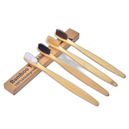 2 x brosses à bamboo ecologique biodegradable
