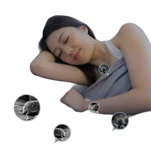 Aspirateur à main anti acariens portable – Photo produit Dakar Sénégal – Livraison rapide Aspirateur à main anti acariens portable. Des économies garanties sur chaque commande avec Diaytar