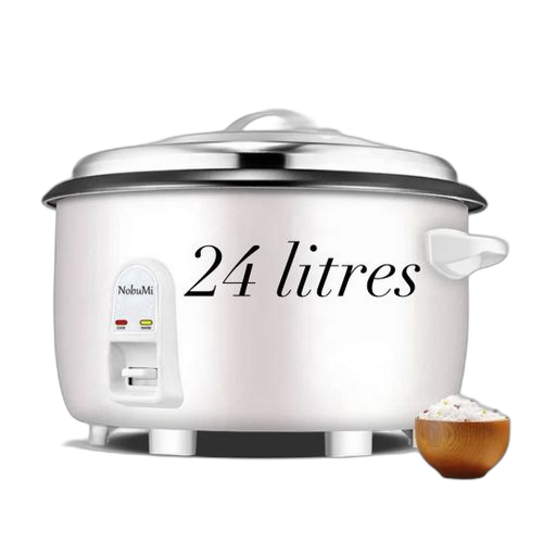 Autocuiseur électrique, cuisson douce et rapide 6litre