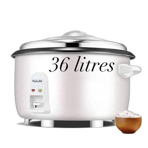 Autocuiseur électrique, cuisson douce et rapide 3litres