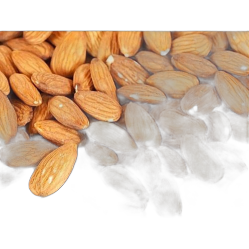 Bio naturelle noix d'amande pot de 50 grammes