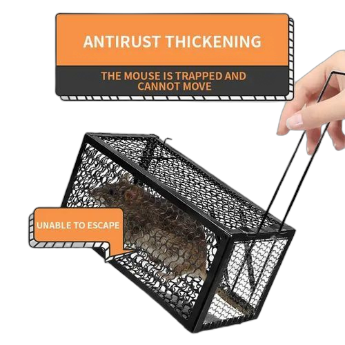 Cage piège pour rats, souris, tamias, rongeurs, campagnols...