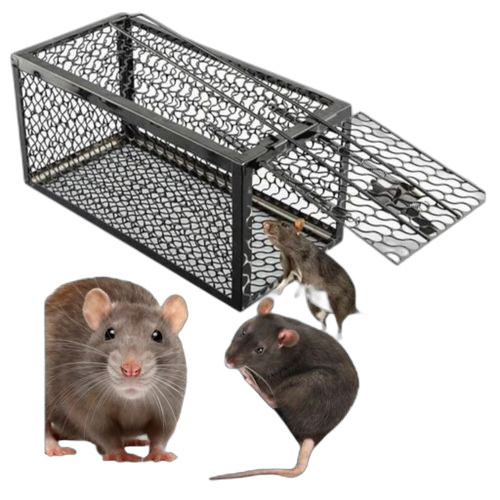 Cage piège à rat professionnel en métal. Un océan de bonnes affaires sur Diaytar Sénégal