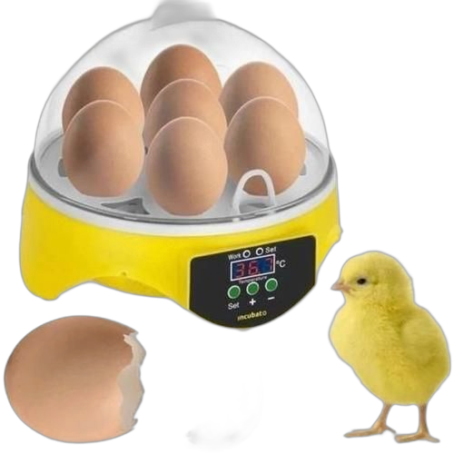 Couveuse volaille, couveuse 7 oeufs,incubateur d'oeuf