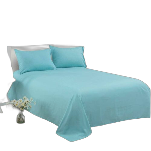 Drap coton et 2 taies d'oreiller vert turquoise parure grand double lit