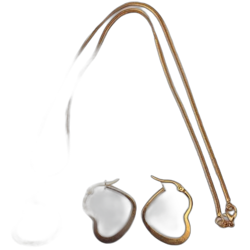 Ensemble chaîne femmes et boucle d'oreille plaqué