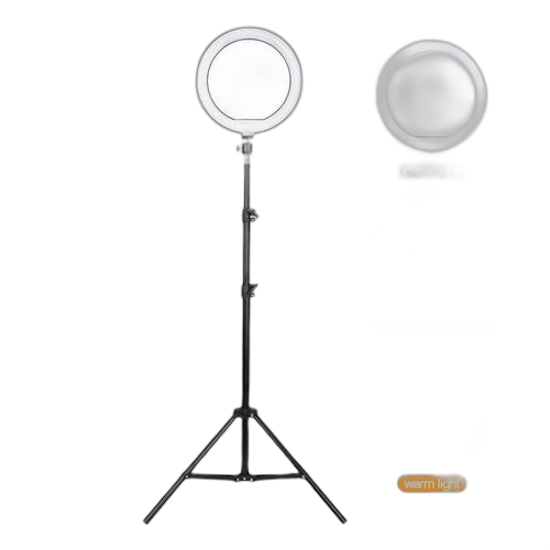 Right light selfy anneau lumineux led : 10 pouces