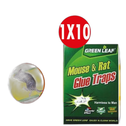 Green leaf pack 10 panneaux collant pour souris et rat