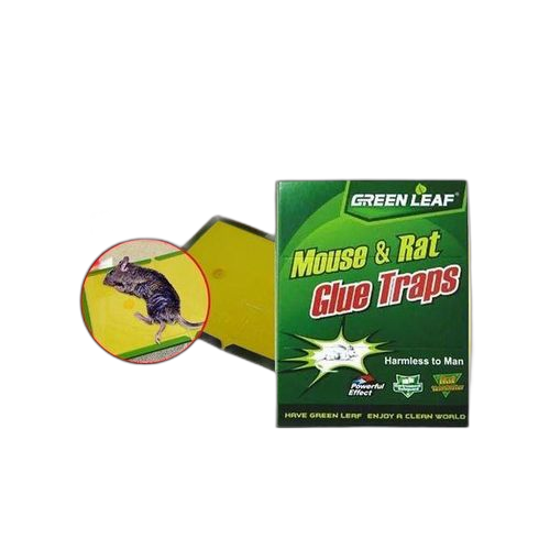 Green leaf panneaux collant pour souris et rat