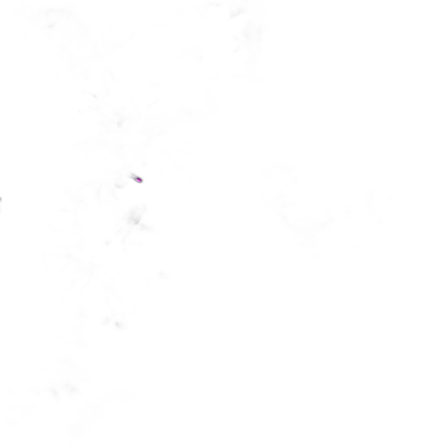 Guirlande lumineuse micro led en forme de lune étoile 5mètres