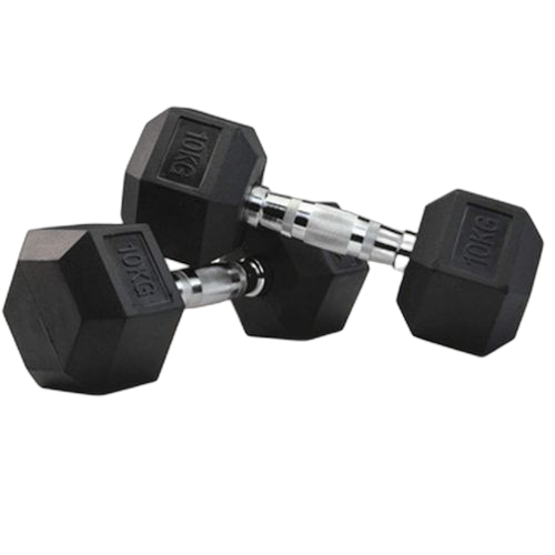 Haltère hexagonale musculation poids de musculation biceps 2 x 10 kg