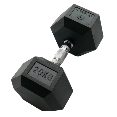 Haltère hexagonale musculation poids de musculation biceps 2 x 2,5kg