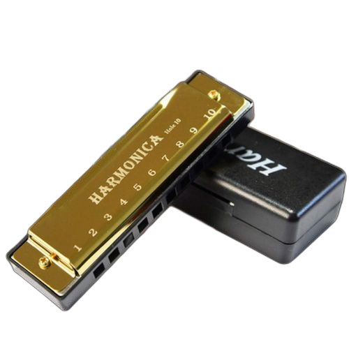 Harmonica diatonique, harmonica blues, instrument de musique pour l'éducation précoce 10 trous or. Le e-commerce qui respecte votre pouvoir d'achat : Diaytar