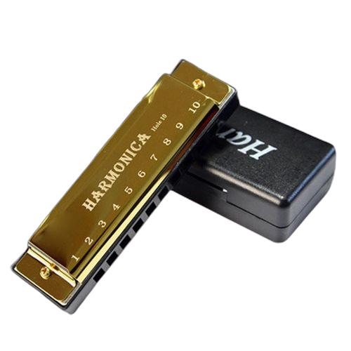 Harmonica diatonique, harmonica blues, instrument de musique pour l'éducation précoce 10 trous or. Gagnez du temps et de l'argent avec Diaytar