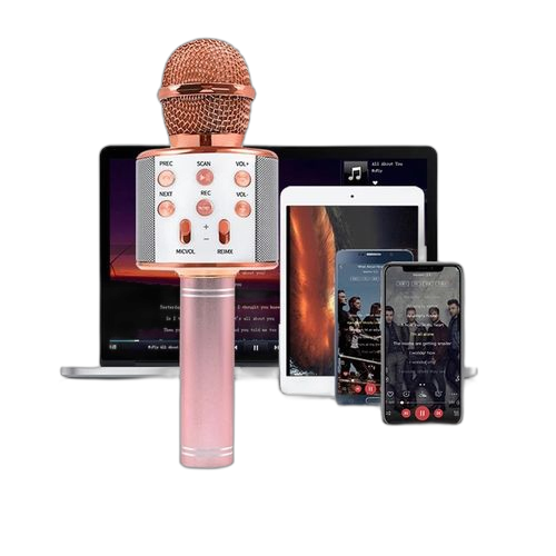 Karaoke microphone sans fil bluetooth pour enfants et adultes. Diaytar Sénégal : Parce que chaque FCFA compte