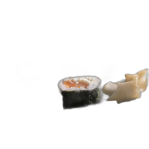 Kit de fabrication de sushis de 29 pièces, machine à sushi tout en un à faire soi même