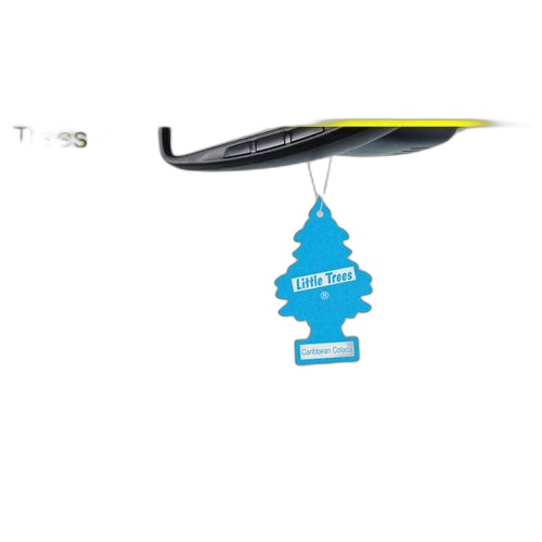 Little trees désodorisant automobile sapin– new car