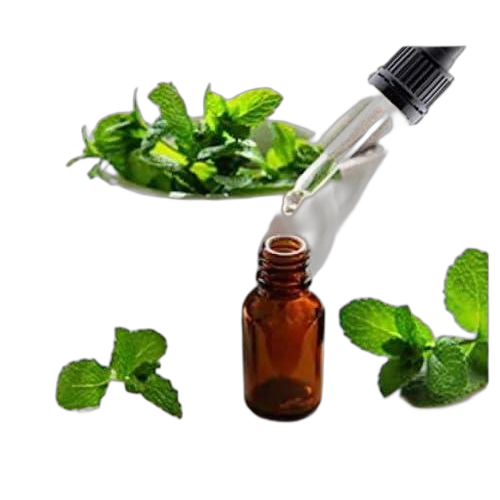 Lot de 12 bouteilles en verre ambre brun avec compte gouttes pipettes 50ml – Image 2