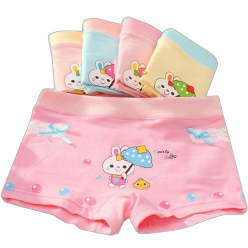 Pack de 12 boxers fillette. Diaytar : La plateforme qui démocratise le shopping en ligne au Sénégal