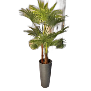 Pot de fleur. Catalogue géant, prix mini chez Diaytar Sénégal