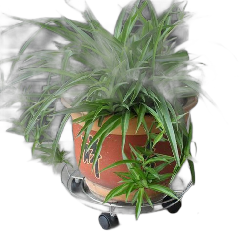 Support a gaz à roulettes. Diaytar : Acheter moins cher n'a jamais été aussi facile