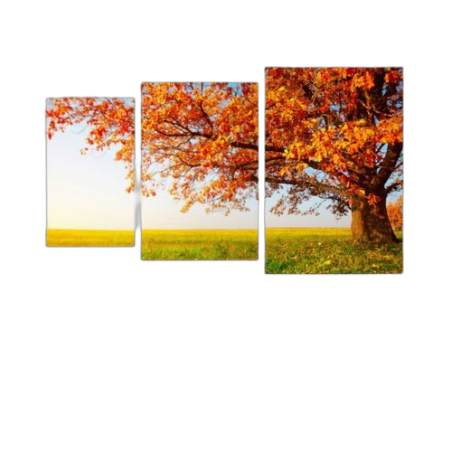 Tableau arbre 3 pieces130 x 80 cm pvc