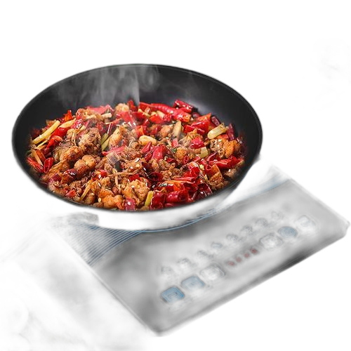 Top plaque chauffante cuisinière a induction 2024 durable electric cook 2200w