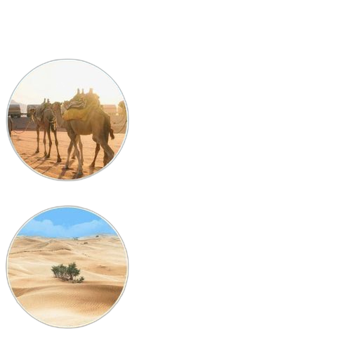 Unbrand jumelles zoom 180x100 hd militaire jour/nuit armée optique chasse camping