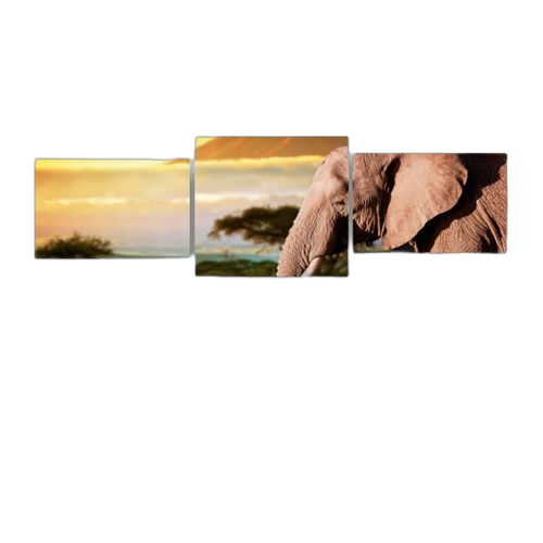 White label tableau 3 pièces paysage elephant