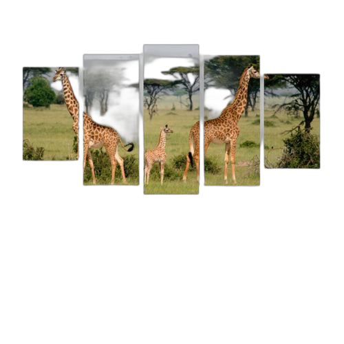 White label tableau 5 pièces savane avec girafes